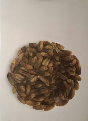 Yunus Ensari Resim Yarışması - IV